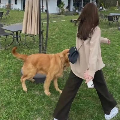 兵王